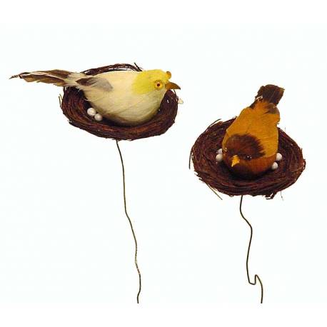 Set de 6 pájaros con nido