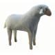 Oveja grande lana cabeza recta