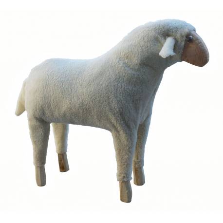 Oveja grande lana cabeza recta