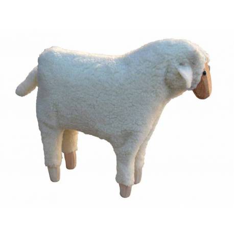 Oveja lana cabeza recta