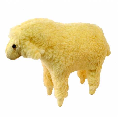 Oveja pequeña lana cabeza recta