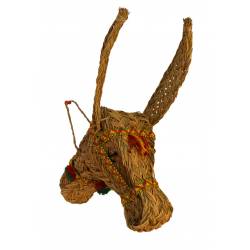 Cabeza de burro esparto