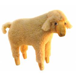 Oveja lana cabeza ladeada