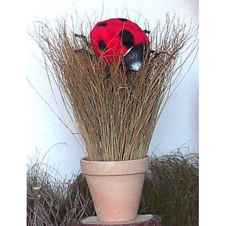 Centro esparto con mariquita
