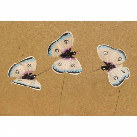 Set de 12 mariposas
