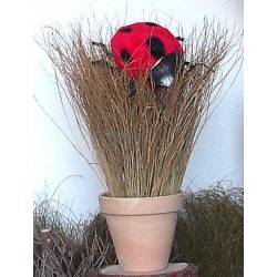 Centro esparto con mariquita