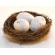 Nido con huevos