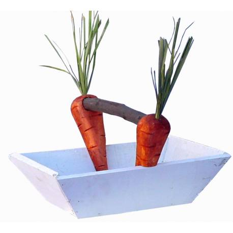 Cesta con zanahorias