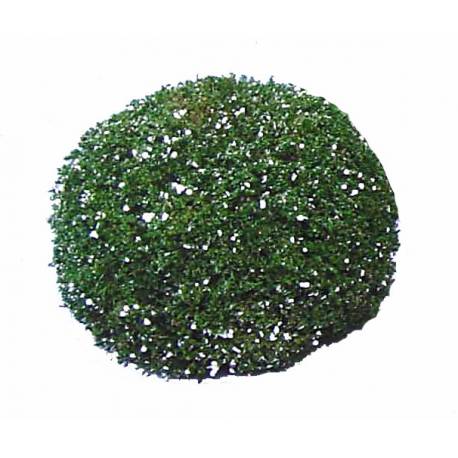 Bola de tatálica verde