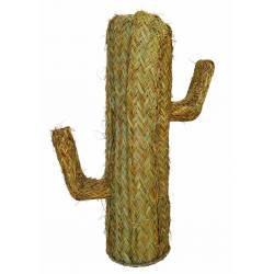 Cactus de esparto