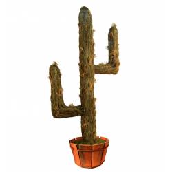 Cactus retama